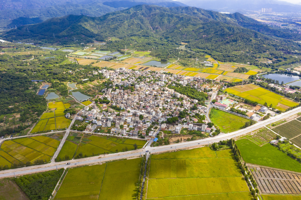 投票|珠海这些美丽乡村,哪一个是你秋日最爱?_腾讯新闻