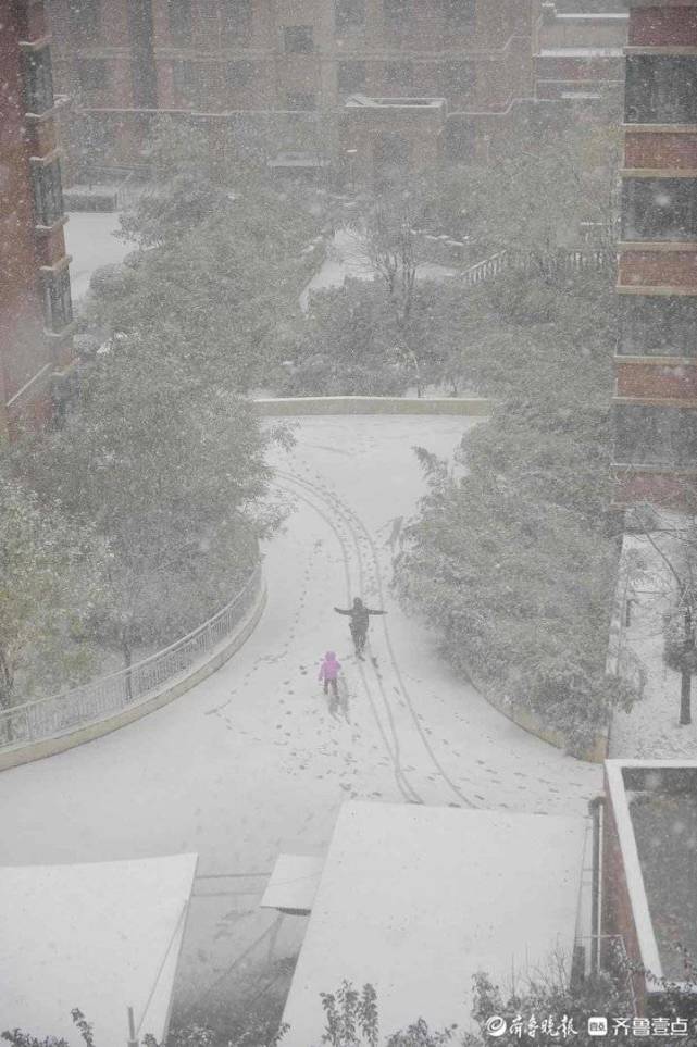 立冬之日大雪紛飛,今冬的第一場雪來啦!