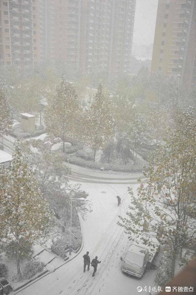 立冬之日大雪纷飞今冬的第一场雪来啦