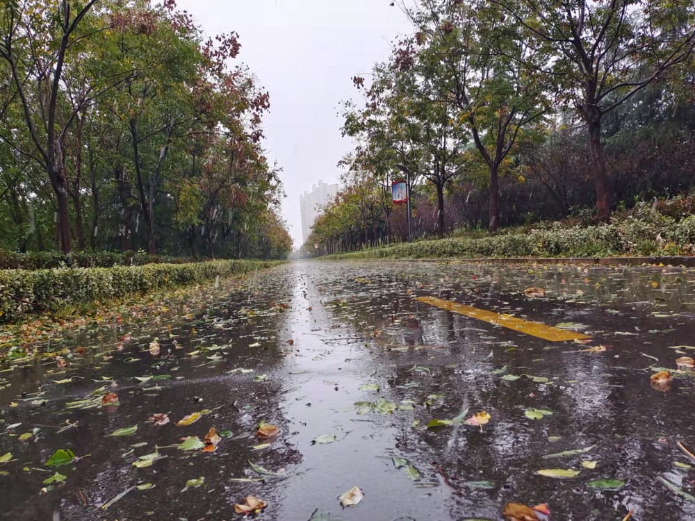 其它地區由於氣溫條件暫時達不到,降水則是以雨水或雨夾雪的形式出現