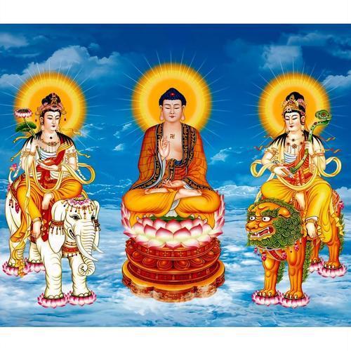 而大鹏金翅雕被如来收在头顶的佛光里,青毛狮子精是文殊菩萨的坐骑