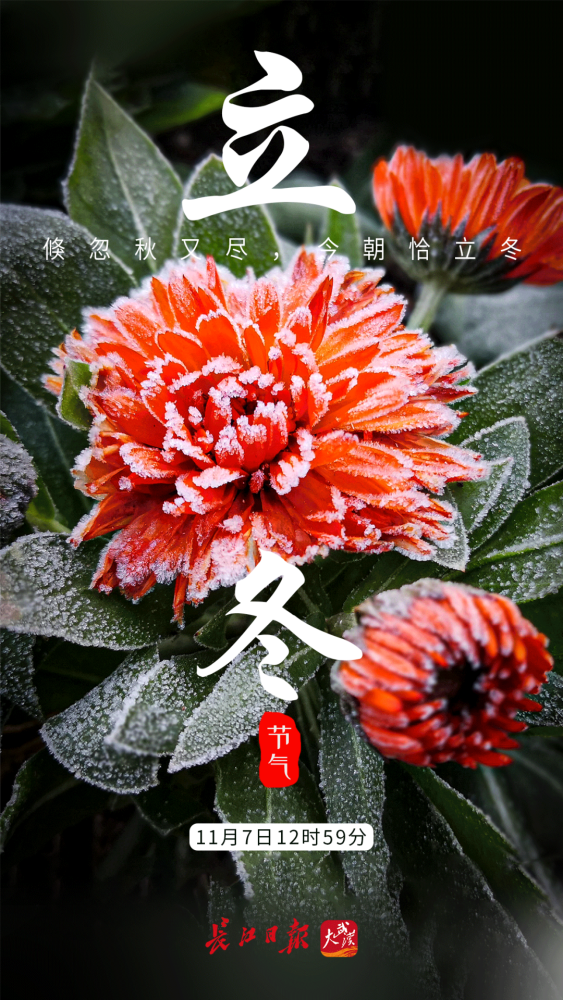 央广网2021年立冬图片图片