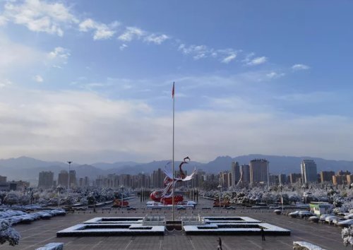 飞飞扬扬的雪花,让整个宝鸡银装素裹,宛如童话世界一般.