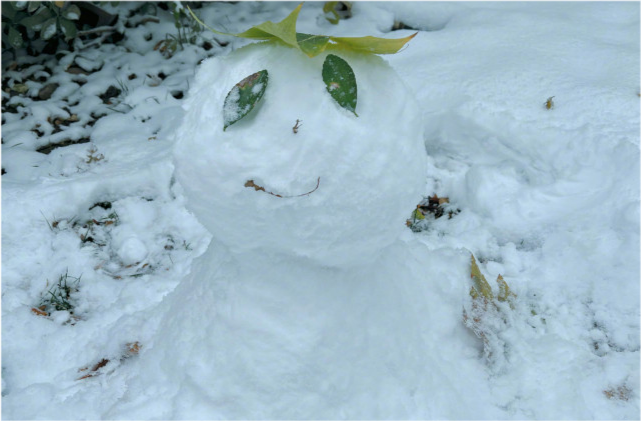 雪人图片实景图片