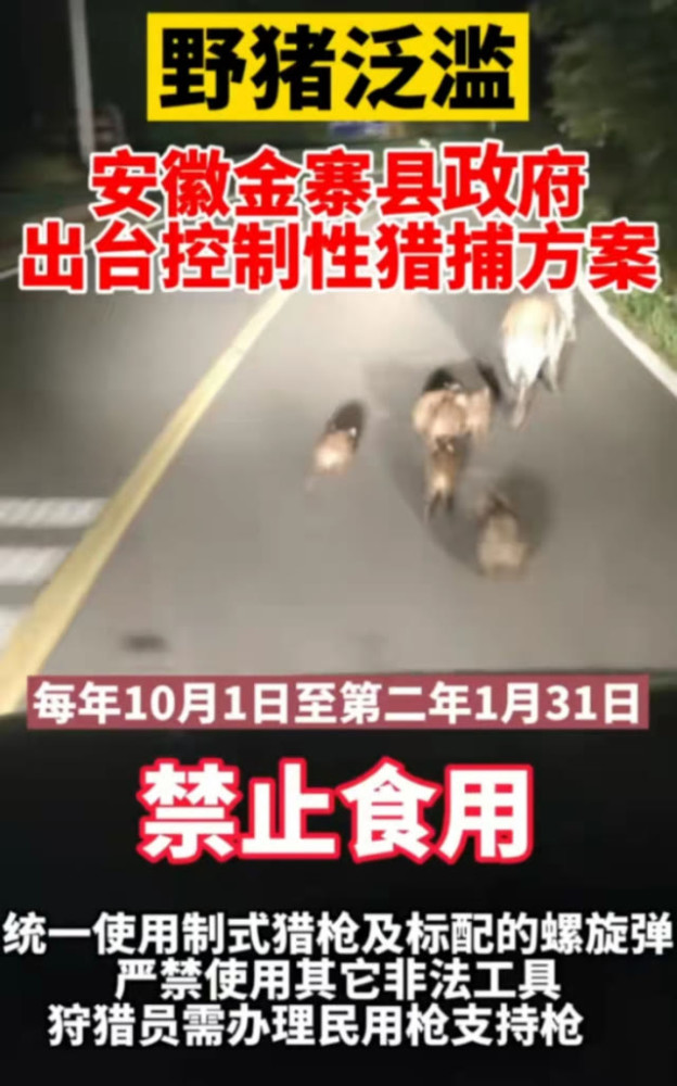 野猪排行_天梯新赛季卡牌排行:法师野猪强势登榜