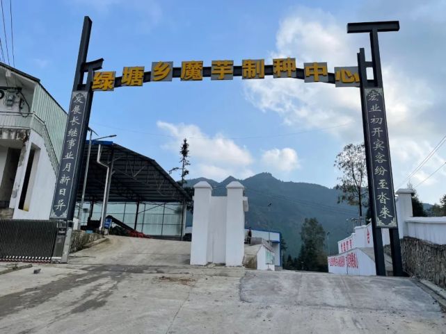 大方县绿塘乡发展民生产业助力乡村振兴