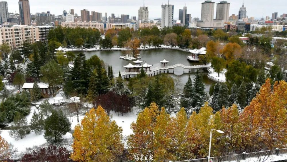 阳泉这场雪有多大?雪景有多美?速看