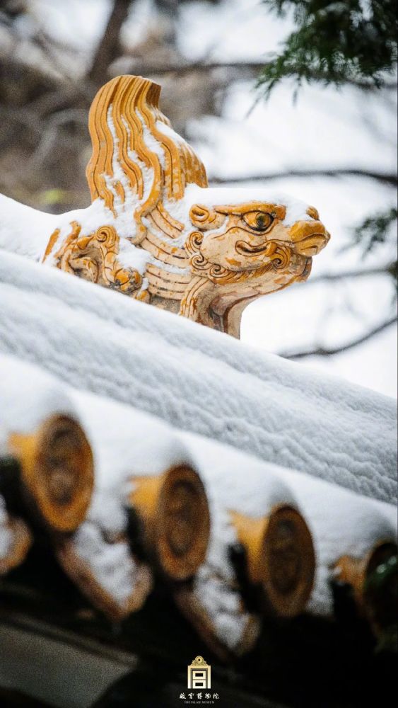 保定哪个英语培训机构好50分落老赖上海雪景