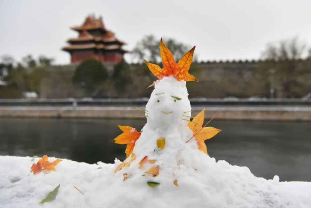 立冬初雪扮靓冬奥之城马步野是北京的老师吗