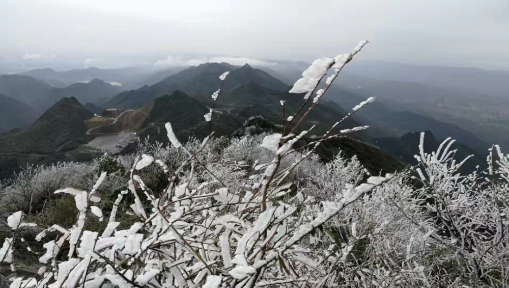 冷空氣已經冷酷到底,明日天氣開啟小幅回暖