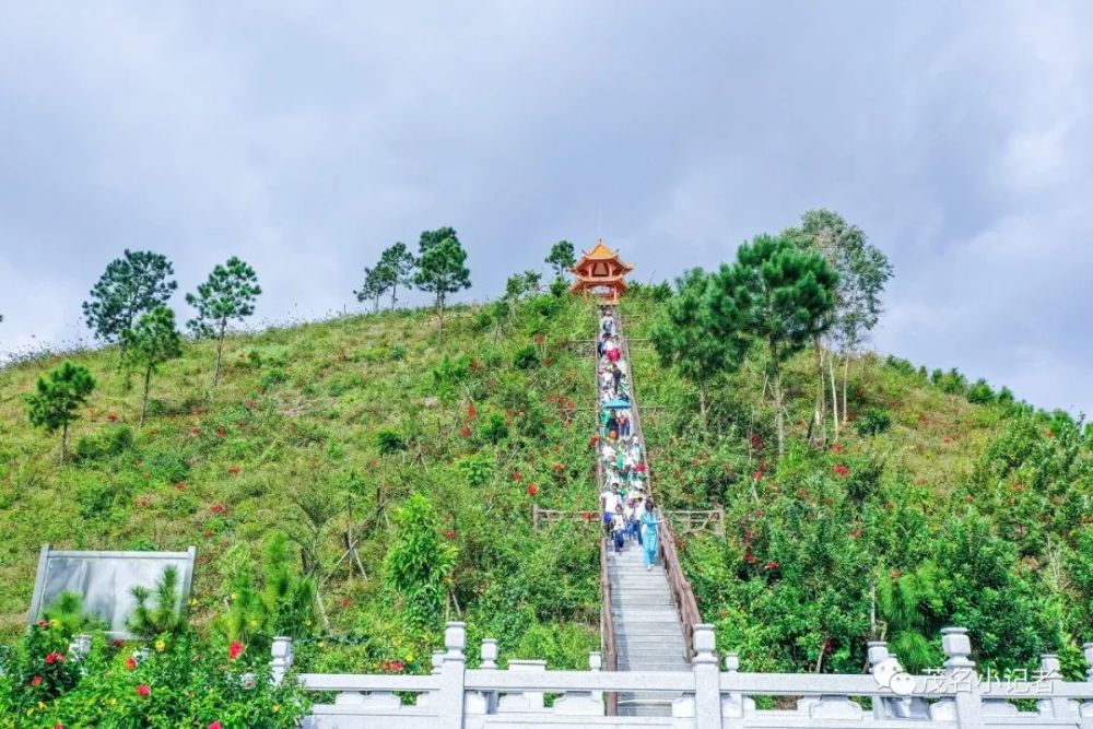 登石龙山 观文光塔 进乡村看变化_腾讯新闻