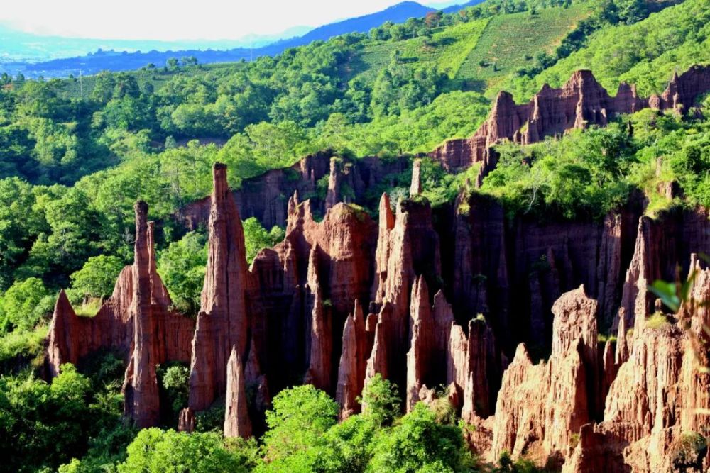 美景大自然的礼物景东土林