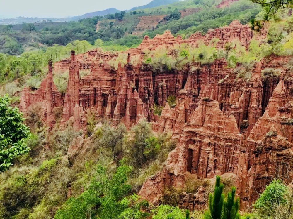 美景大自然的礼物景东土林