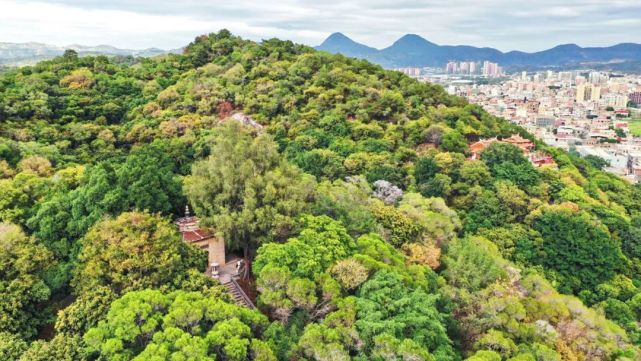 泉州最早的一尊石佛在九日山背后有着这么一段故事