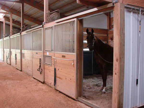 马上涨知识马房建设指南