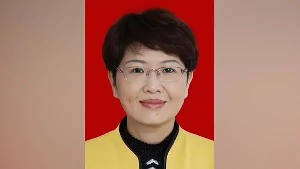 冯玲任阳江市委书记,林道平另有安排_腾讯新闻