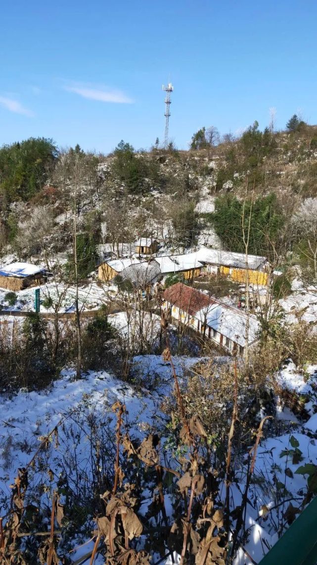 西鄉中雨 高家池下雪了!