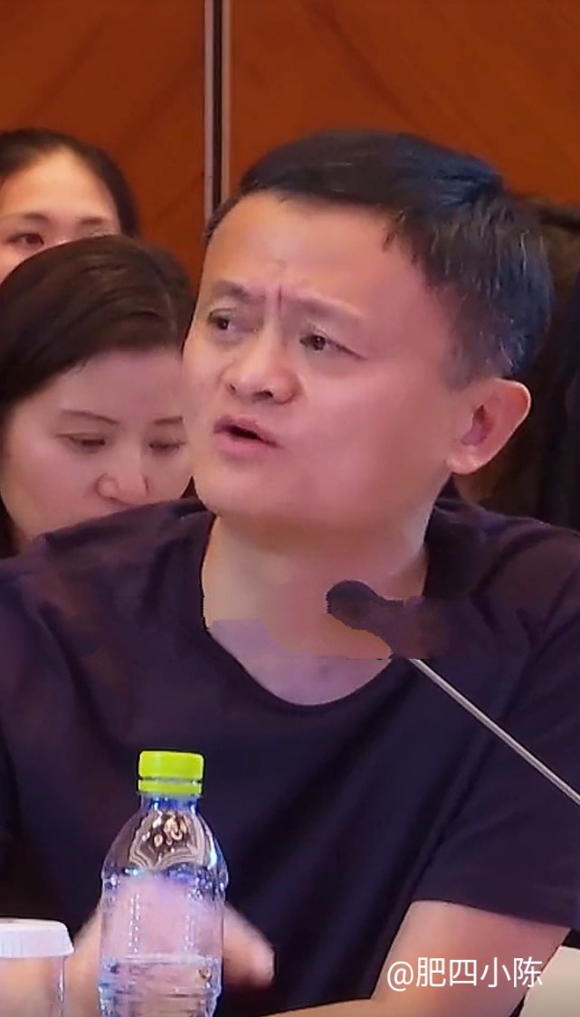 马云这一说,在场的大老们个个都哈哈大笑起来