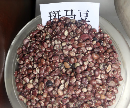 年轻人这些粮食的名字你叫的上名字吗