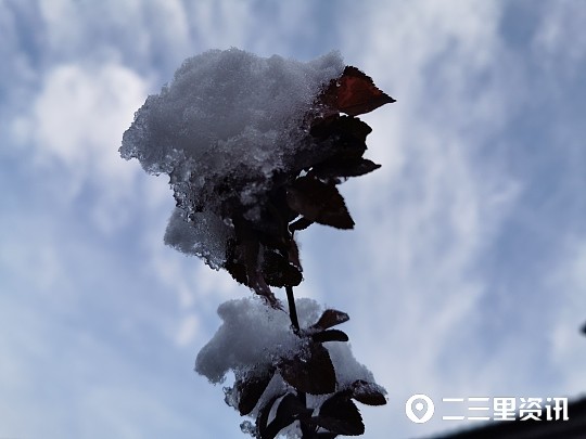 温度还在,注意保暖