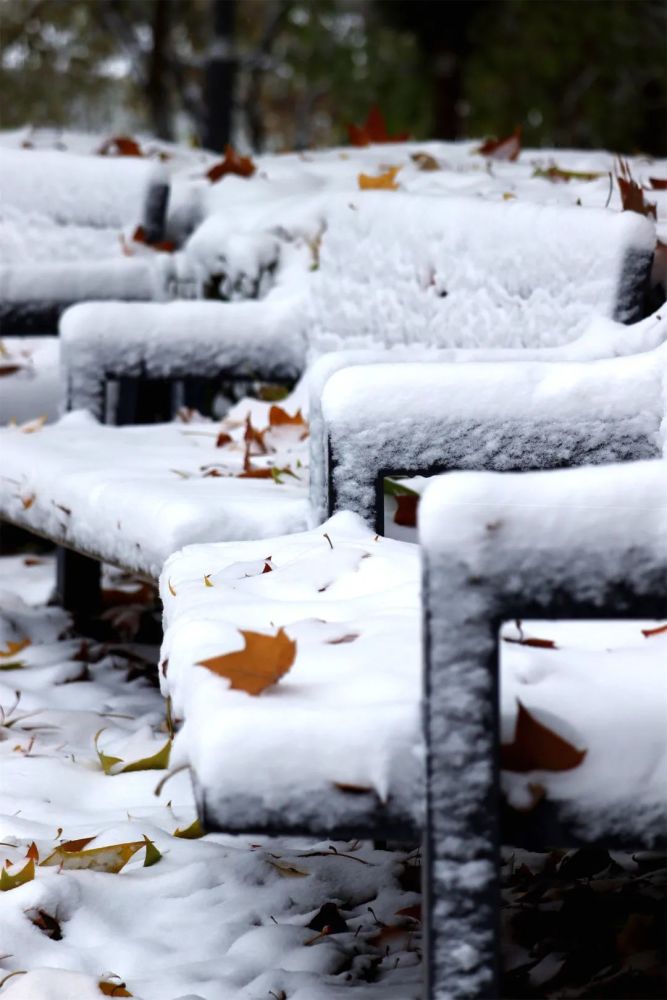 80张绝美雪景图,带你看遍各个大学2021年的第一场雪,真是美爆了
