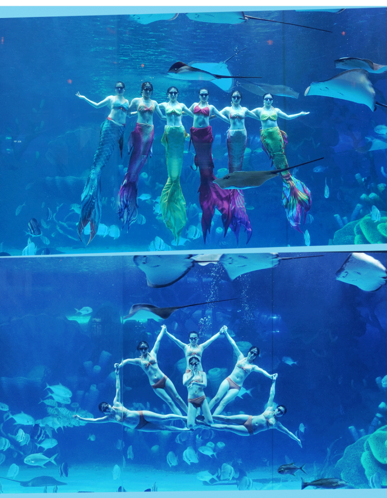 定了泉州欧乐堡海洋乐园11月27日开放一日环游四大洋