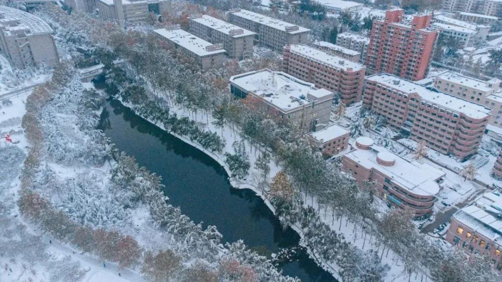 化工大學彷彿身處童話中的冰雪世界一層薄雪覆蓋校園冬窗遠望天高雲淡