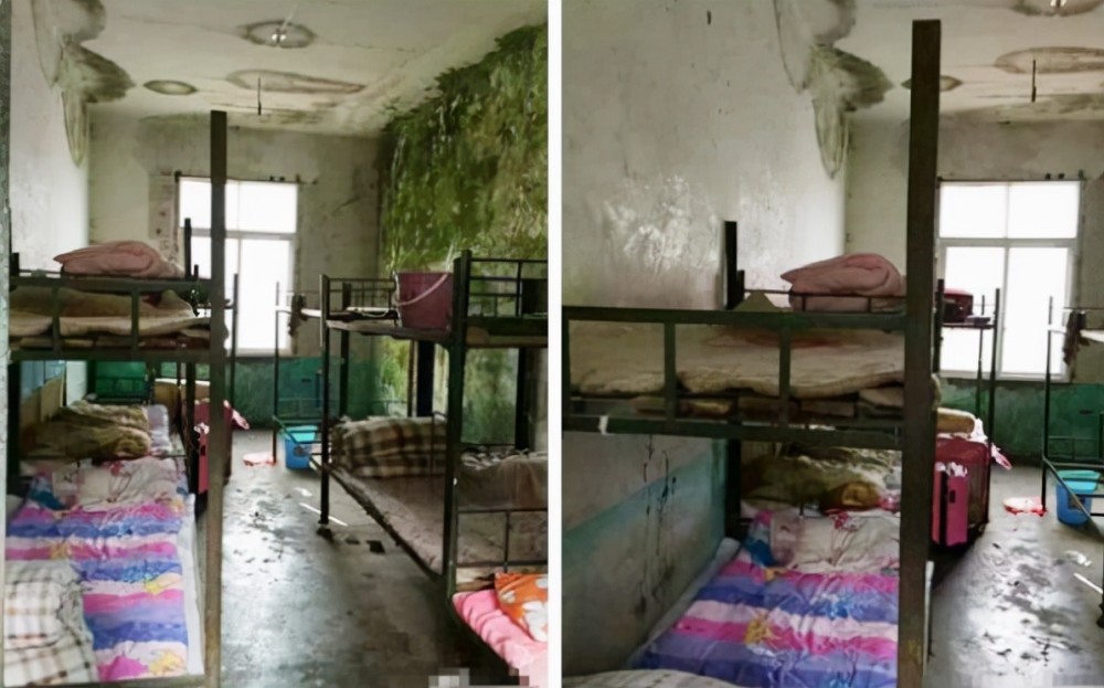 "叙利亚风"宿舍火了,学生连夜收拾行李回家,看到瞬间破防