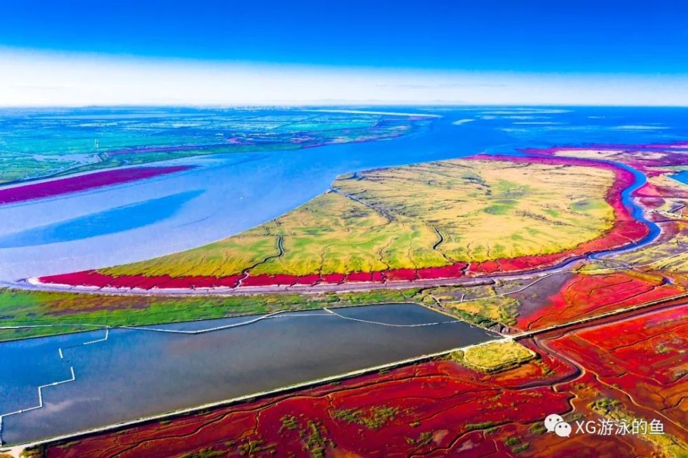 辽河口红海滩水润盘锦75