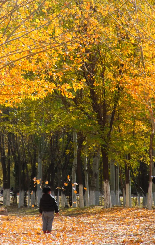 随手拍丨发现身边的美_腾讯新闻