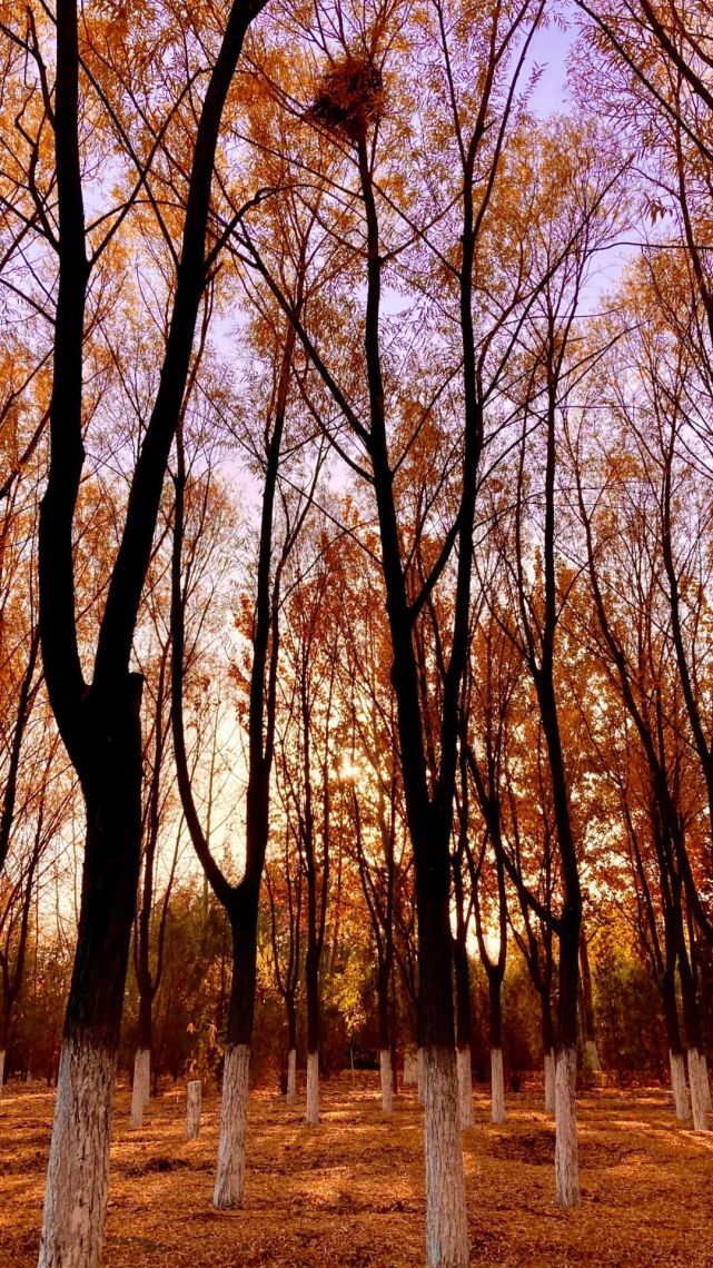 随手拍丨发现身边的美_腾讯新闻