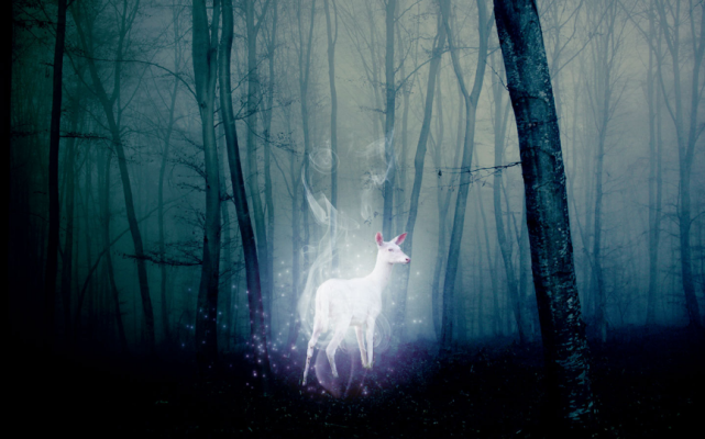 哈利波特为什么斯内普的守护神是牝鹿詹姆是牡鹿