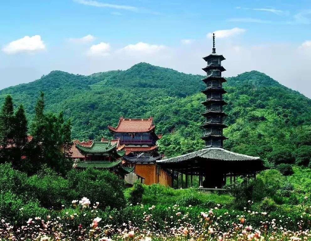 温州市龙湾区公开征集文旅标识和口号,期待您的创意!