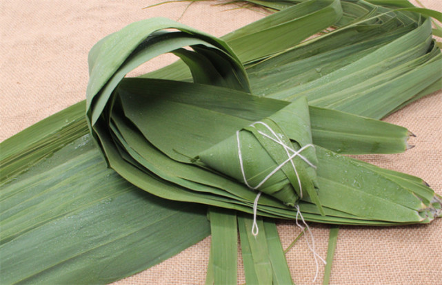 常识科普:粽叶是什么植物的叶子?南方用箬叶,北方用芦苇叶