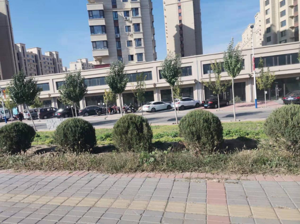 泓典实业输血式生存疑云：政府团购 国资贷款帮扶(图6)