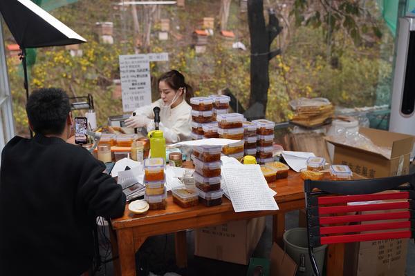 户外直播菜鸟成长记吃住在山里日常被蜜蜂袭击小目标是在线人数过千