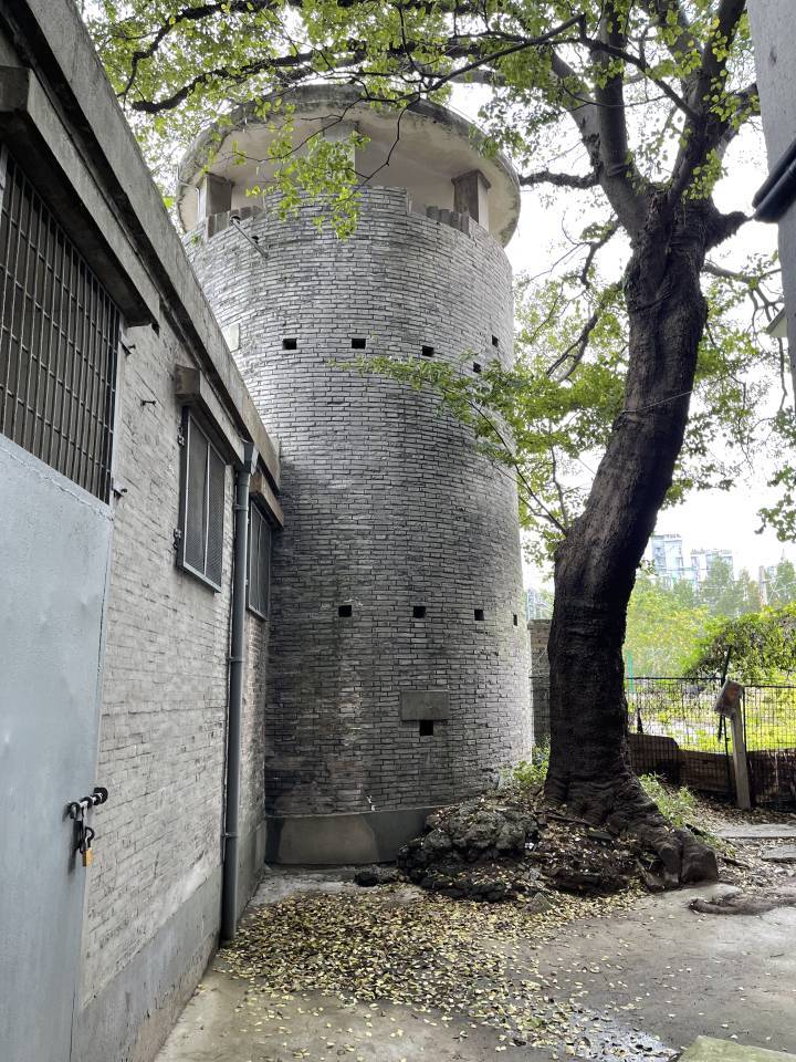 记者帮杭州市中心那座侵华日军遗留的碉堡杂草丛生相关部门回应了