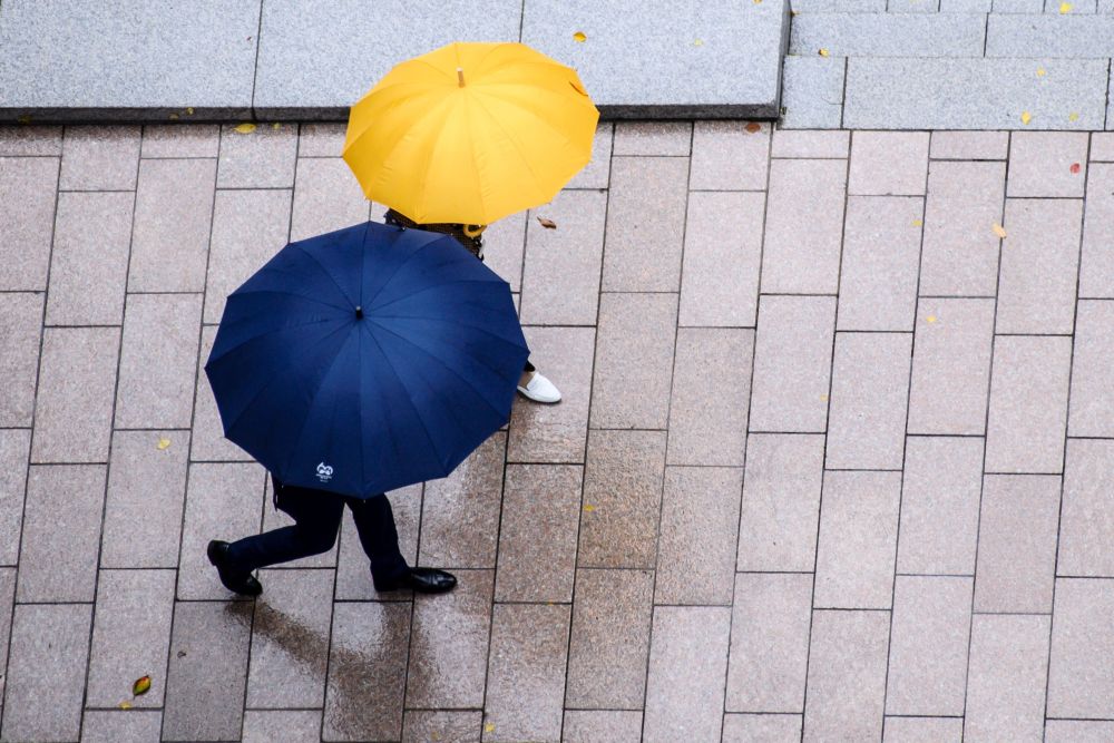 撑伞也是雨中人图片图片