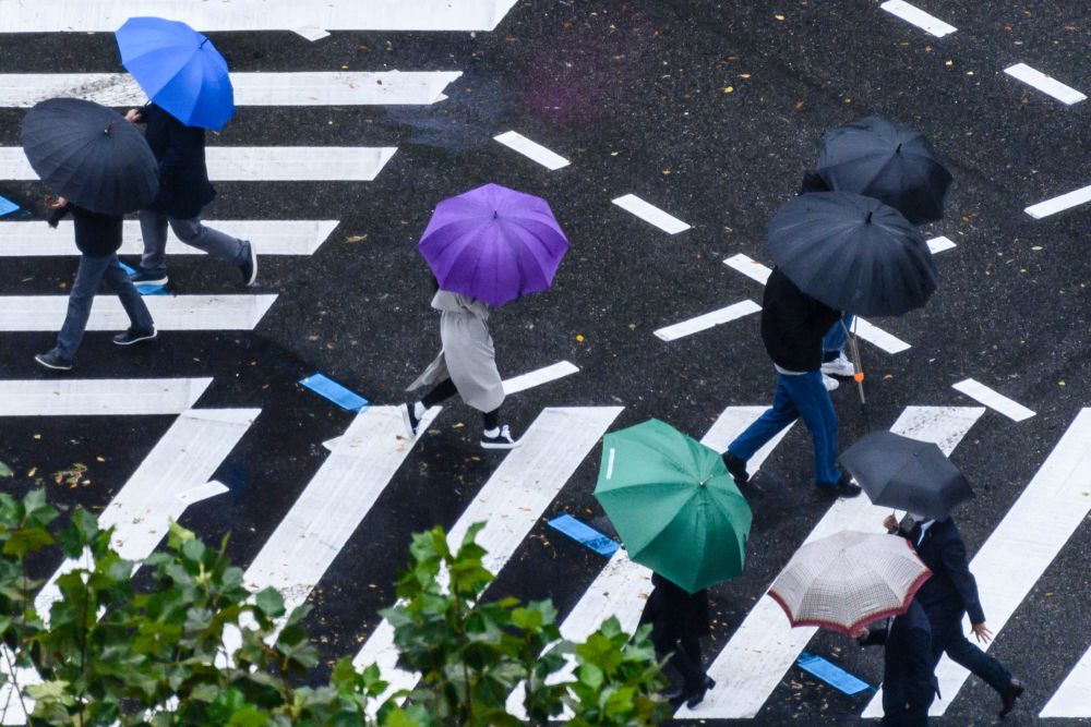 外代一线雨中曲