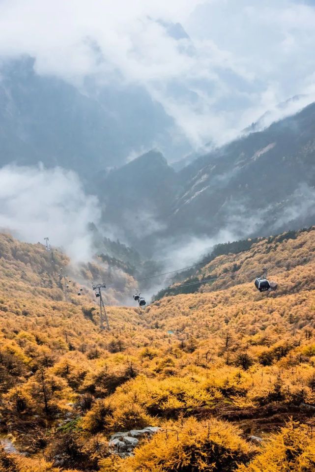 如果你想要看藏在大山深處的純淨景色,那一定不能錯過這輛秦嶺小火車.