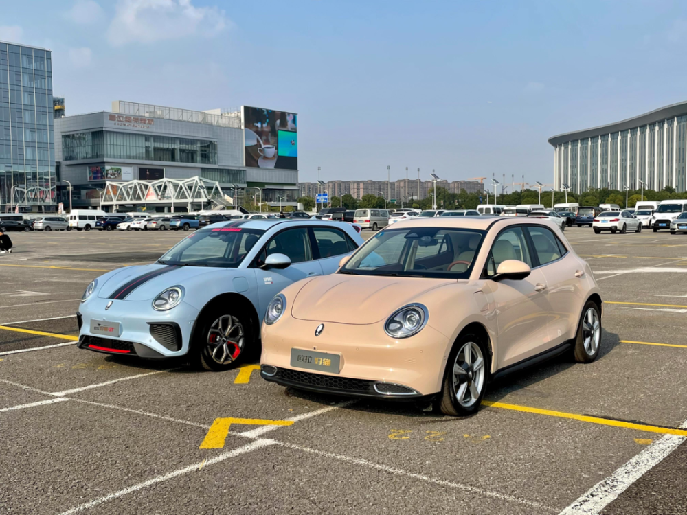 增加gt 尾綴的好貓 究竟運動在哪 全網搜