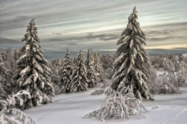 那些美丽的俄罗斯雪景