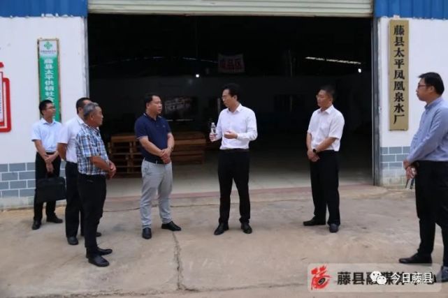 (藤县融媒体中心11月8日讯)11月5日,县长蒙中平率队到古龙镇,太平镇