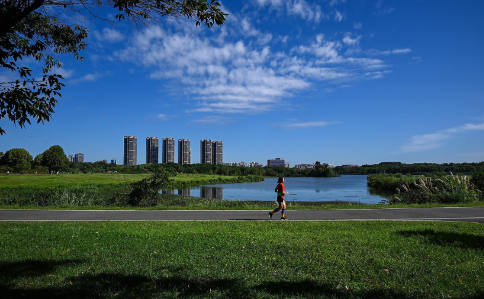 成都青龙湖湿地