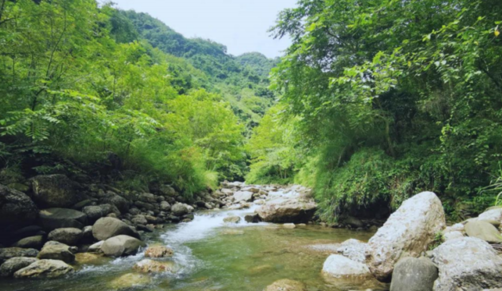 大邑县雾山图片