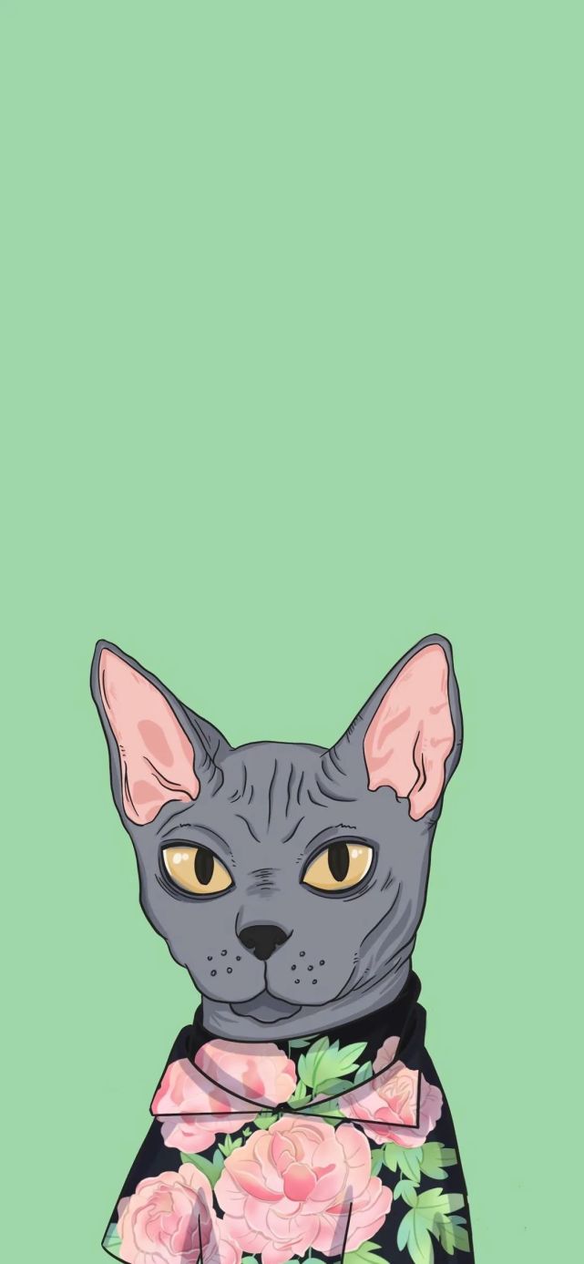 微信聊天壁纸桌面背景锁屏