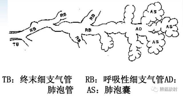 x線診斷要點關於肺氣腫的一些概念需要熟悉結合ct