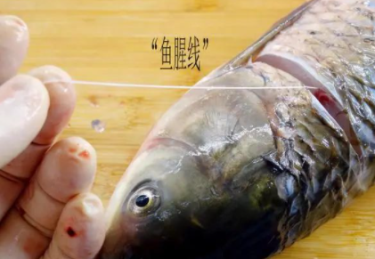 炖鱼除腥,抽出"鱼腥线"是不对的,记得处理好鱼身这4个腥味源