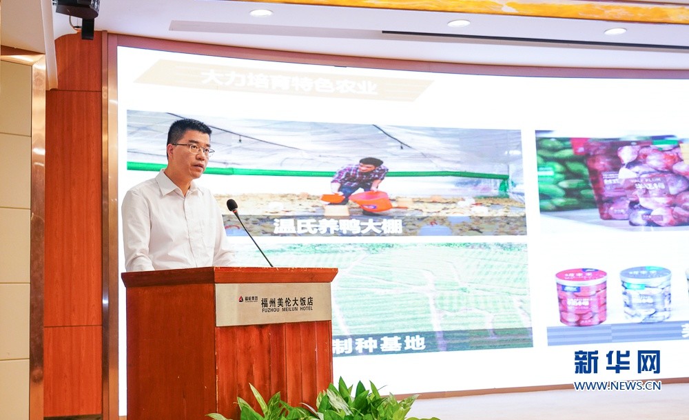 11月6日,三明市将乐县代县长陈羲在交流会上发言.新华网 肖和勇 摄