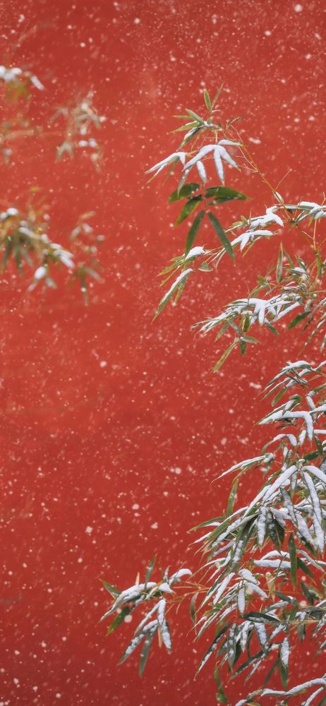 今日专题|故宫雪景壁纸